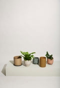 Edna Pots Brown (set of 2)